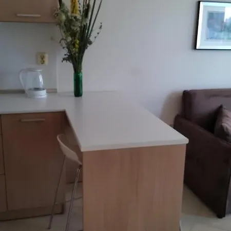 Four-bed In The Emberli. Apartment Lozenets